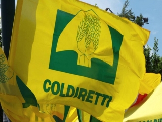 Dati Istat, Coldiretti: Nel 2020 in Calabria consumi diminuiti di 3 miliardi