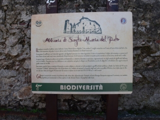 Il complesso monastico di Santa Maria del Patir si racconta grazie ai cartelli descrittivi