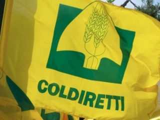 Coldiretti Calabria: Inflazione sale, schizzano in alto i costi e i prezzi delle materie prime