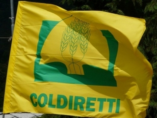 Coldiretti Calabria: segnali di ripresa con il secondo fine settimana lungo di aprile