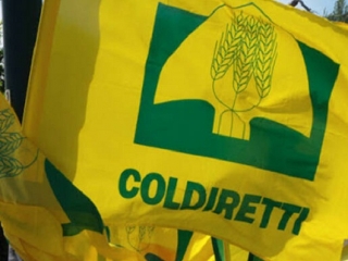 Coldiretti Calabria: Aumento carburante un macigno su costi delle imprese e su spesa consumatori