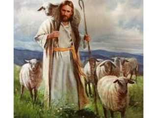 40 - Parabola del buon pastore