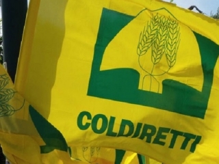 Coldiretti: in Calabria sempre di più spazio alle donne in agricoltura