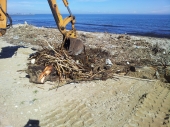 Iniziate le operazioni di pulizia della spiaggia. Poi ci sarà il ripascimento