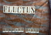 Dal 17 luglio al 4 agosto la mostra “Fluctus” dell’artista Stefano Ianni
