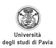 Meeting a Pavia della Società italiana di Statistica