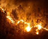 Incendi, Bevacqua: "Risorse sulla prevenzione"