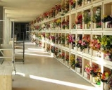 Il Vicesindaco Katya Gentile sul cimitero: “le entrate certe che il servizio produce siano reinvestite nel cimitero”