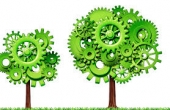 Green economy, Comune aderisce a Life Proitalicc