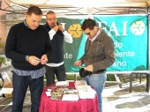 “Difendi l’Italia del tuo cuore”, oggi l’iniziativa del Fai (Fondo ambiente italiano) a San Marco Argentano