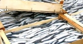Pesca, Trematerra accoglie proposte.  Consegnato documento pescatori alla Regione