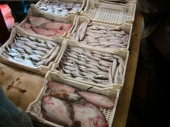 Mercato ittico, partito l’appalto. A breve appalto anche per asilo nido