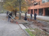 I ragazzi  della Circoscrizione 4 hanno pulito il Villaggio Giardino dalle foglie