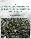 Oggi la V Giornata per la dimostrazione di raccolta in continuo delle olive