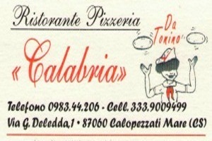 Pizzeria Calabria (www.pizzeriacalabriadatonino.com)